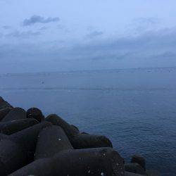 早朝メバリング