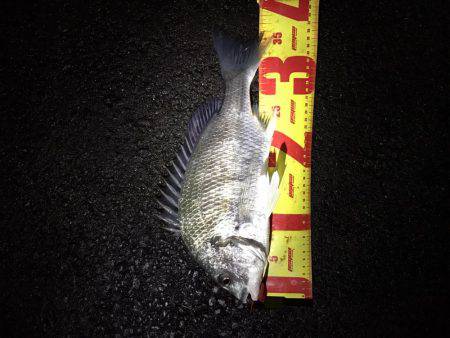 激渋チニングも2キャッチ