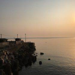 淡路島観光ホテルのメバル