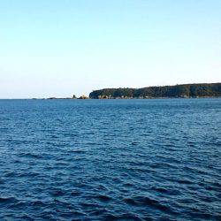 太地でグレ釣り