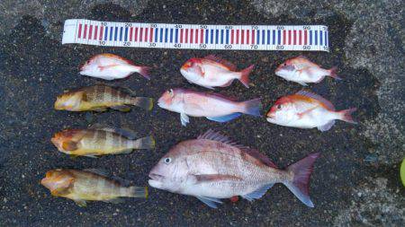 久しぶりに大満足