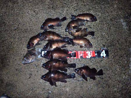 五目フラッタースリム絶好調♪