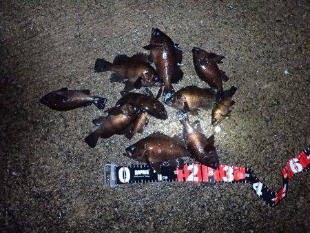 月夜の大潮に大苦戦！