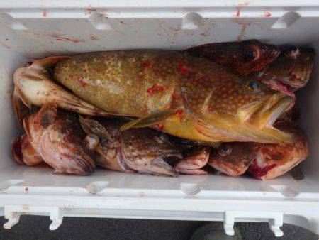 カヤック　ジギング