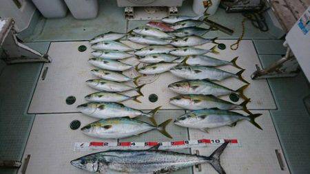 スカイマリン 釣果