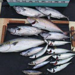 武勝丸（ぶしょうまる） 釣果