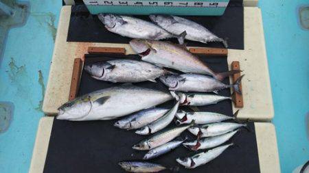 武勝丸（ぶしょうまる） 釣果
