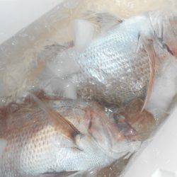 こうゆう丸 釣果