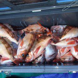 第二むつ漁丸 釣果