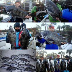 TOPGUN名古屋 釣果