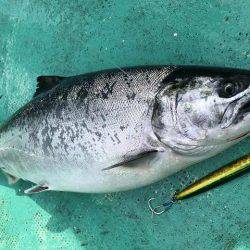 広進丸 釣果