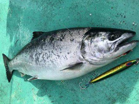 広進丸 釣果