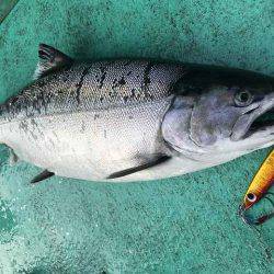 広進丸 釣果