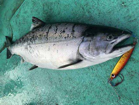広進丸 釣果