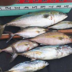 武勝丸（ぶしょうまる） 釣果