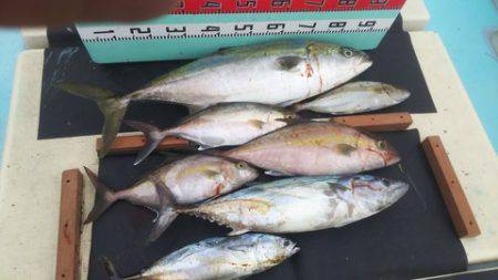 武勝丸（ぶしょうまる） 釣果