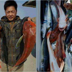 第三隆栄丸 釣果