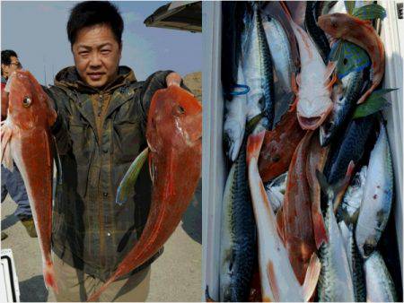 第三隆栄丸 釣果