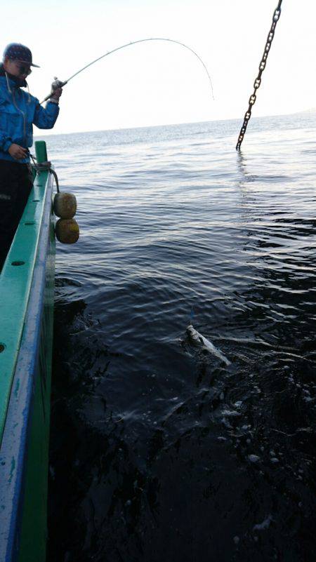 中山丸 釣果