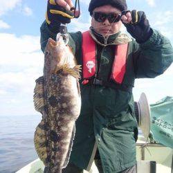 気仙沼 つり丸 釣果