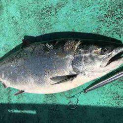 広進丸 釣果