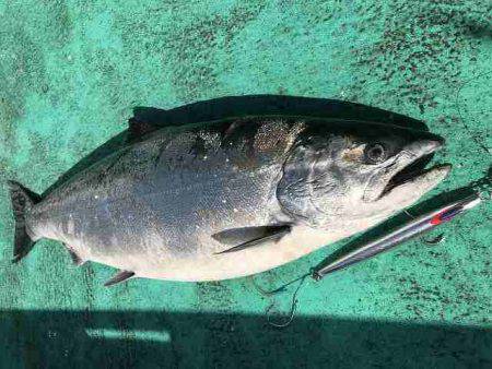 広進丸 釣果