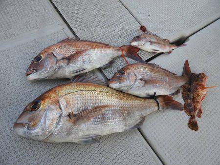 Fisherman Dreams DI 釣果