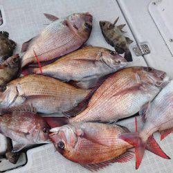 Fisherman Dreams DI 釣果