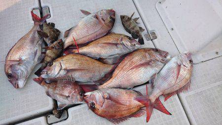 Fisherman Dreams DI 釣…