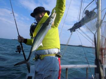 鯛紅丸 釣果