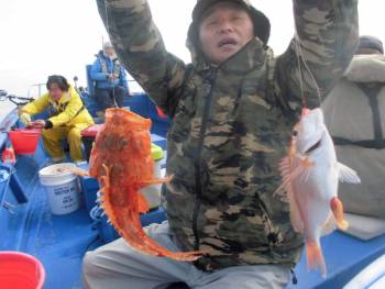 鯛紅丸 釣果