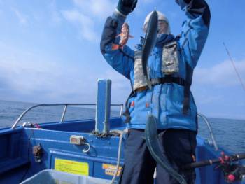 鯛紅丸 釣果