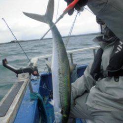 鯛紅丸 釣果