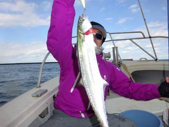 鯛紅丸 釣果