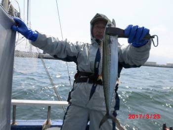 鯛紅丸 釣果