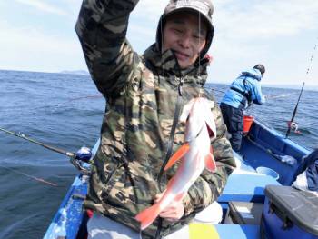 鯛紅丸 釣果