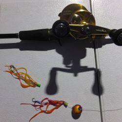 Hit Rush(ヒット ラッシュ) 釣果