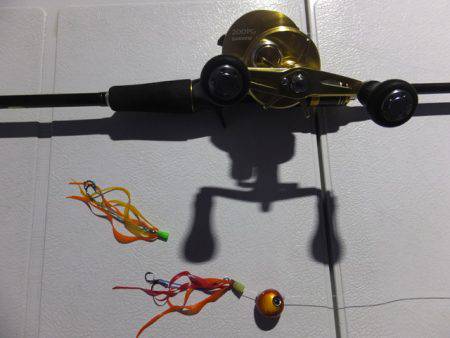 Hit Rush(ヒット ラッシュ) 釣果