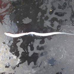 Hit Rush(ヒット ラッシュ) 釣果