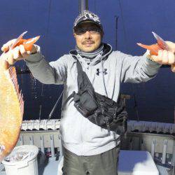 Hit Rush(ヒット ラッシュ） 釣果