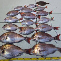 Hit Rush(ヒット ラッシュ） 釣果