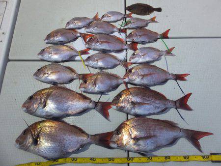 Hit Rush(ヒット ラッシュ） 釣果…