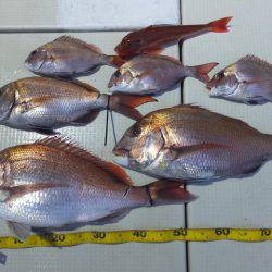 Hit Rush(ヒット ラッシュ） 釣果