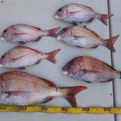 Hit Rush(ヒット ラッシュ） 釣果