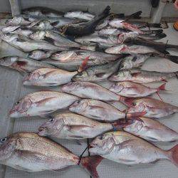 Fisherman Dreams DI 釣果