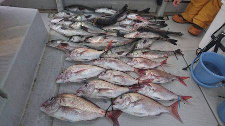 Fisherman Dreams DI 釣果