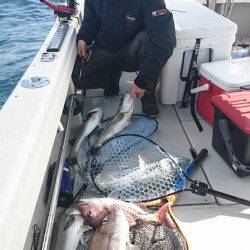 Fisherman Dreams DI 釣果