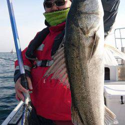 Fisherman Dreams DI 釣果