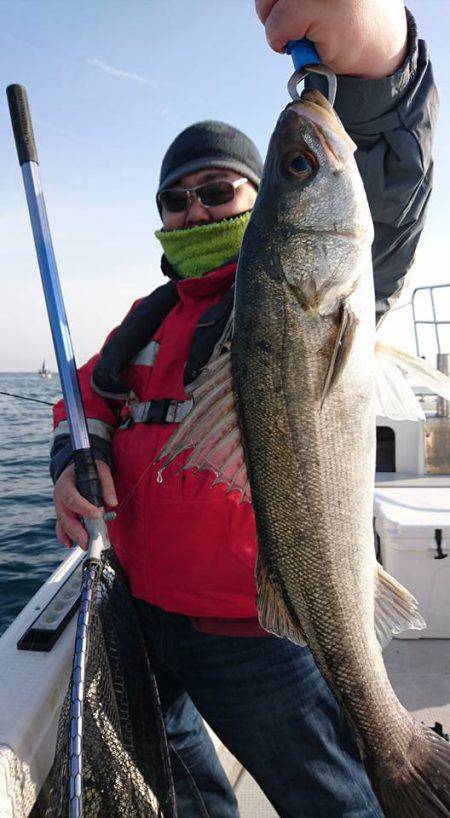 Fisherman Dreams DI 釣…