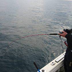 Fisherman Dreams DI 釣果